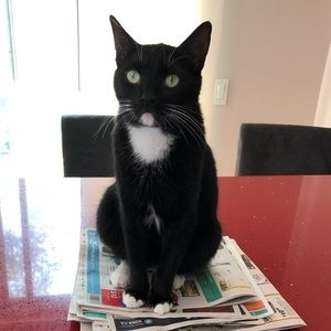 Meet your Posher, Natasha